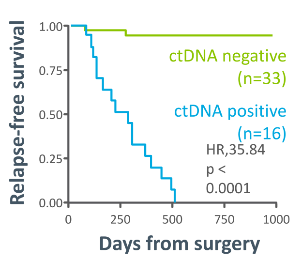 Breast relapse-free survival Kaplan–Meier curve showing ctDNA positive vs. negative groups
